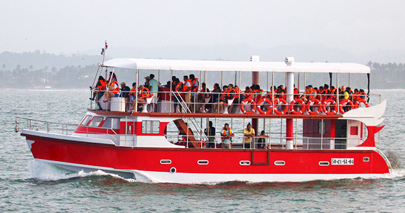 dolphin watching boat